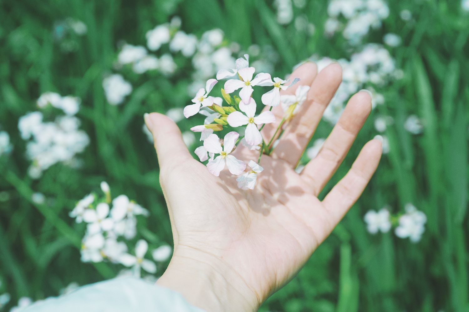 花に手を添える様子