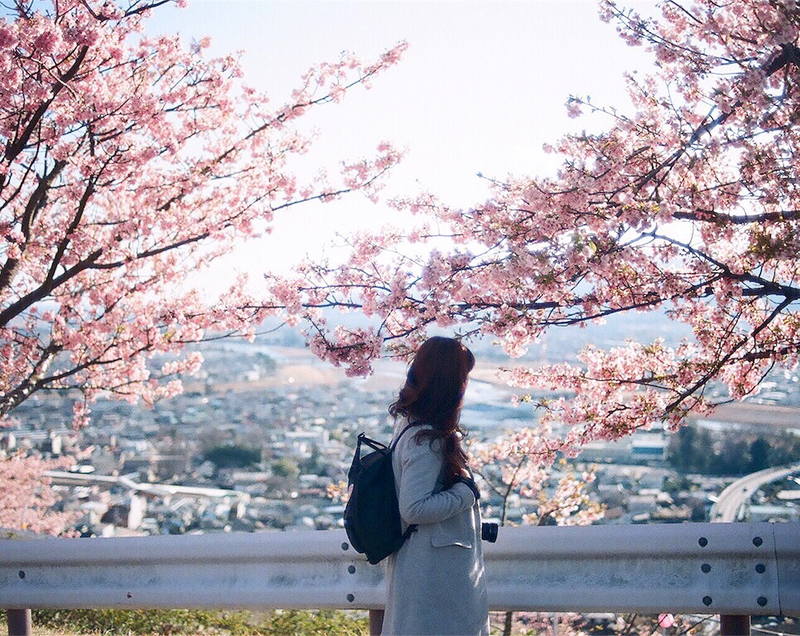 桜並木を歩く女性