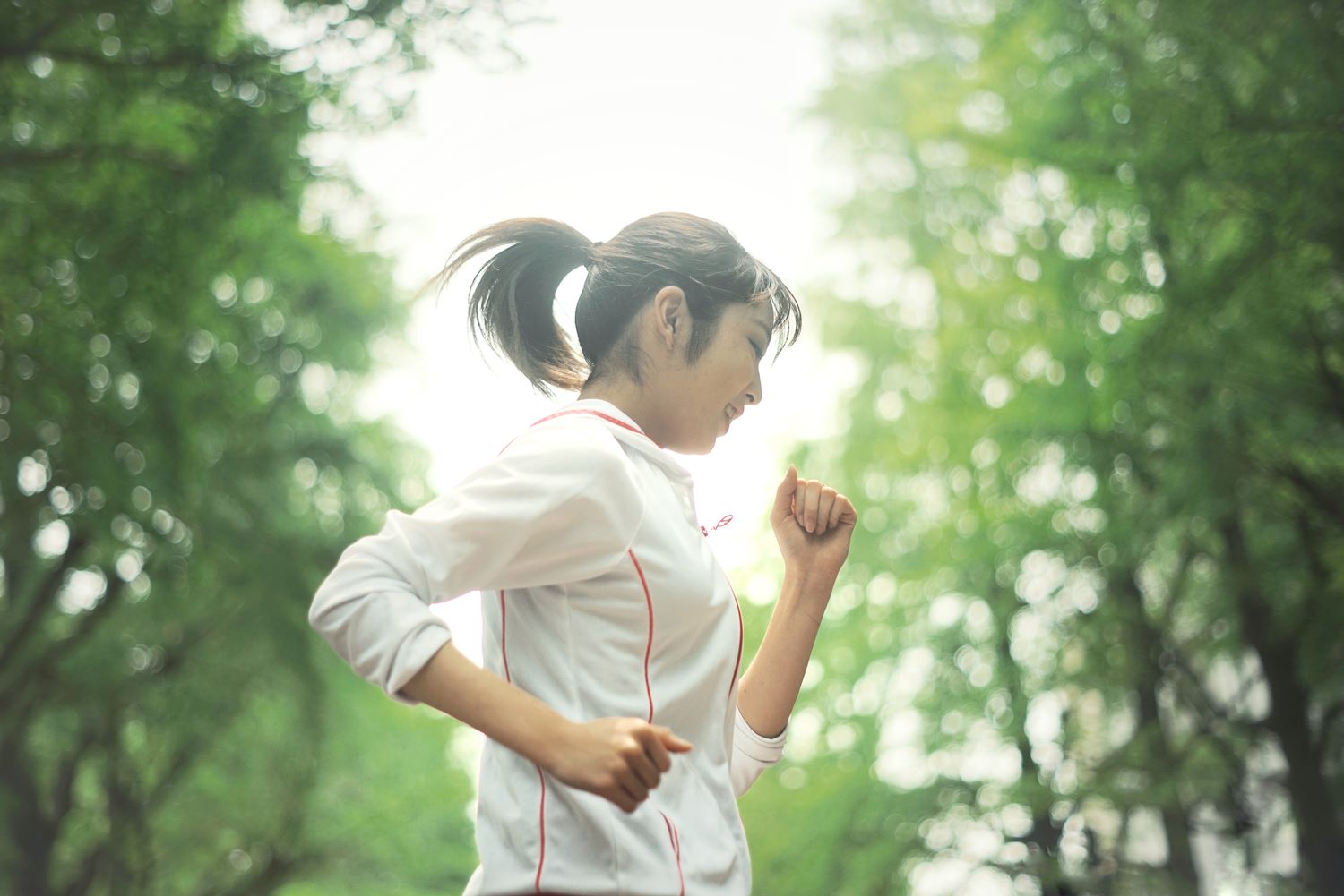 運動をする様子