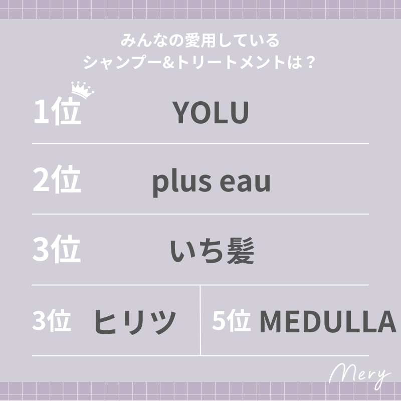シャントリランキング