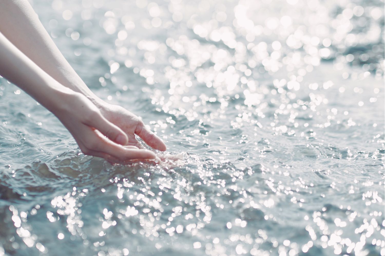 手で水をすくう様子
