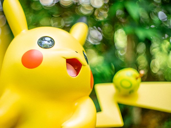 ポケパーク カントーのイメージ