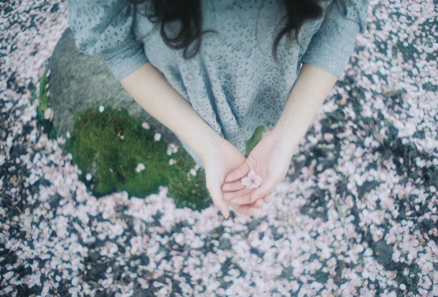 桜をのせる女の子