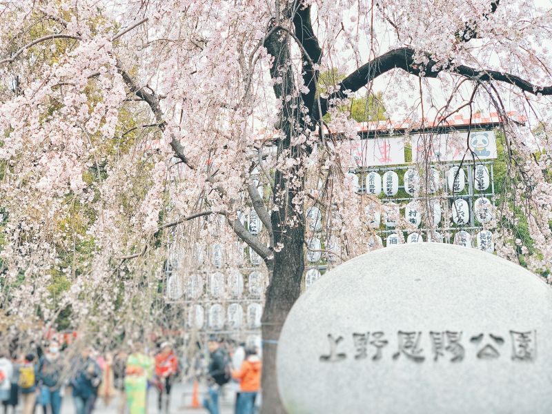 上野恩賜公園